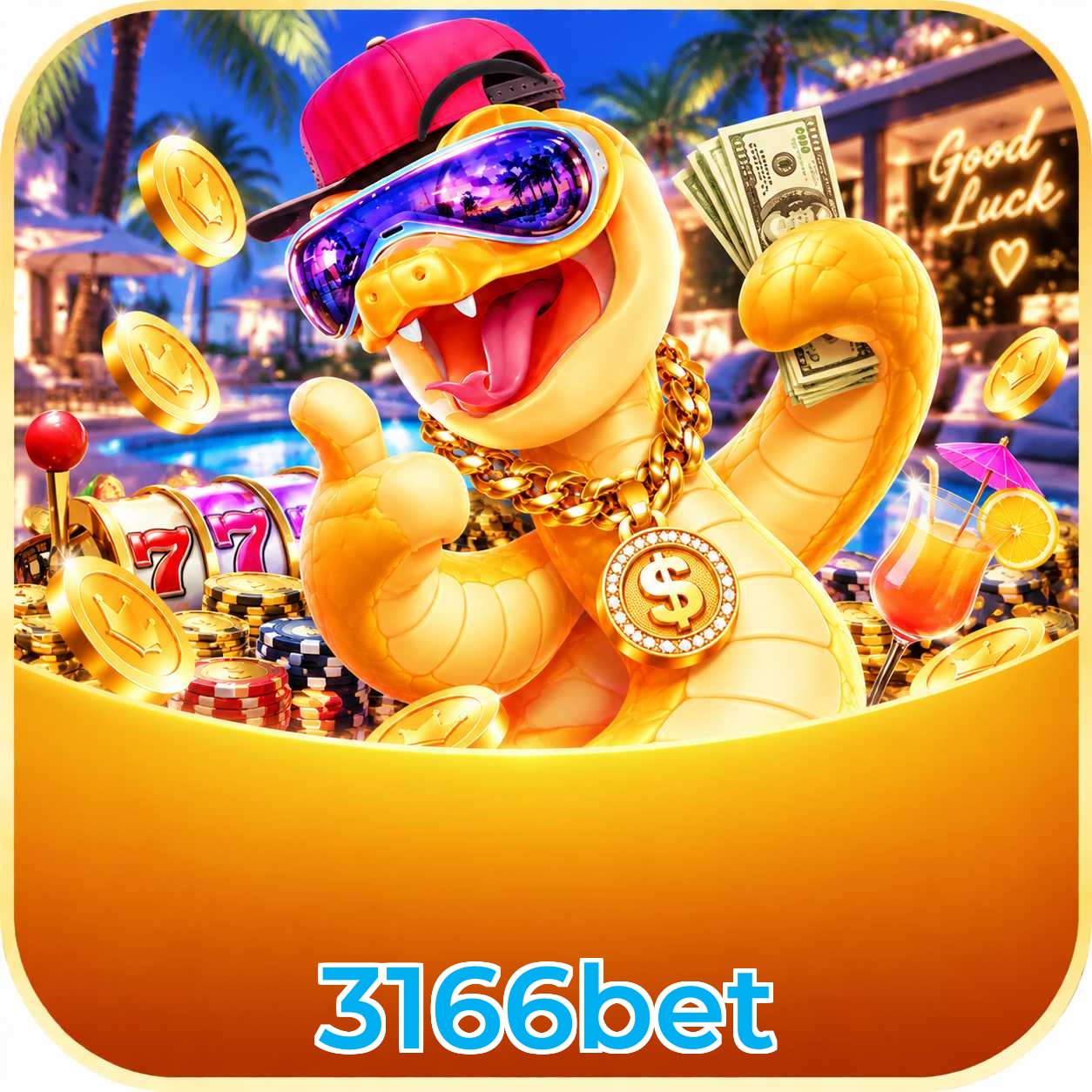 3166bet Plataforma FAQ