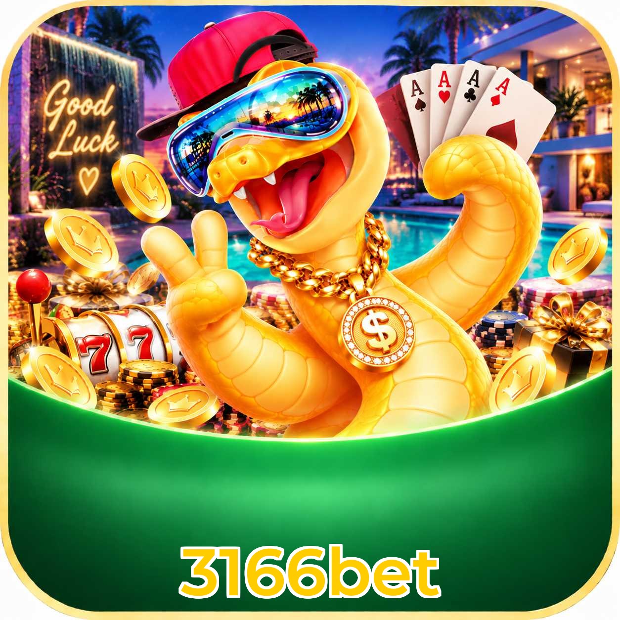 3166bet Bet Odds Analysis