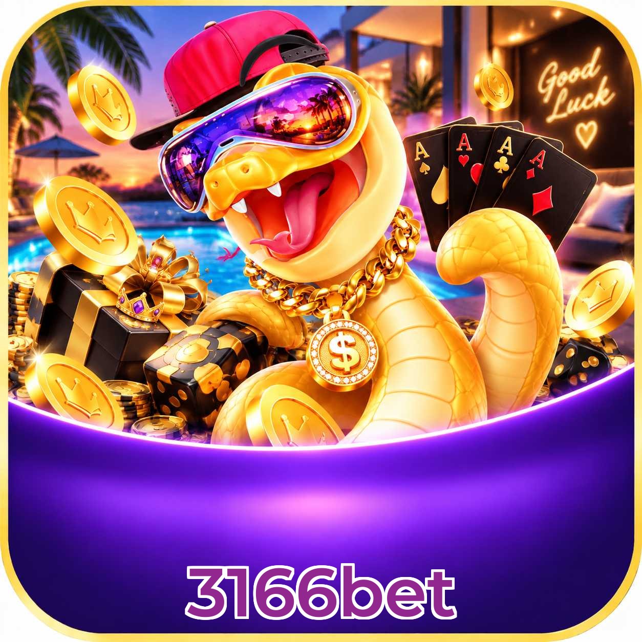 3166bet App FAQ